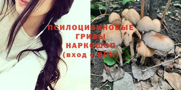 дурь Алзамай