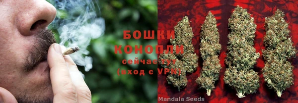 дурь Алзамай