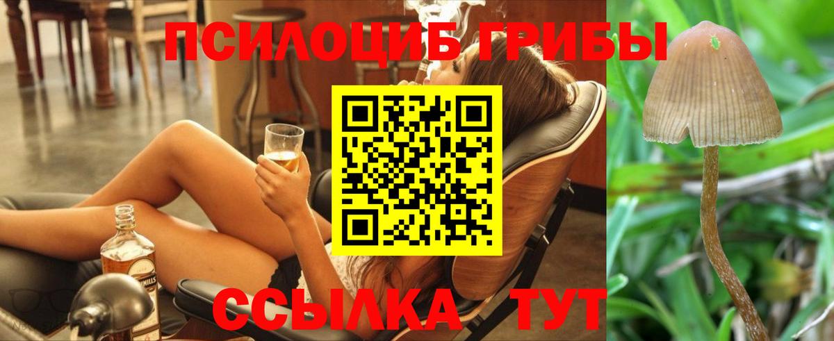 Псилоцибиновые грибы ЛСД  Вход с VPN  Елабуга 